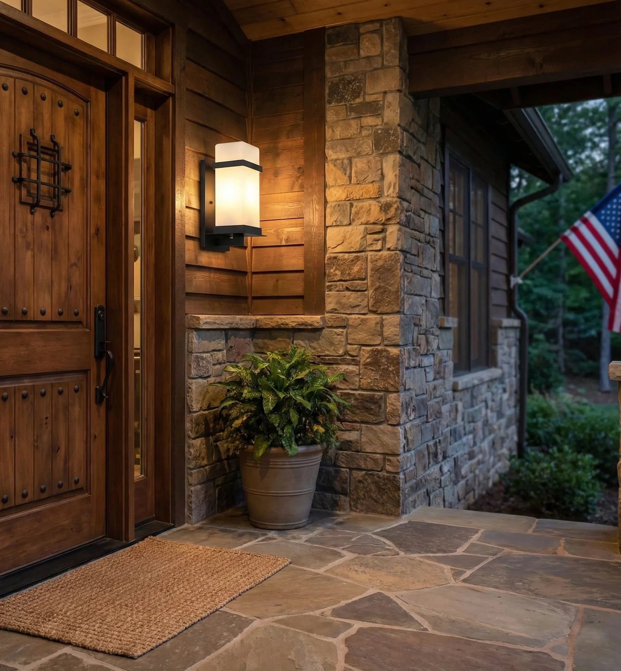 Mcdade Outdoor Wall Light