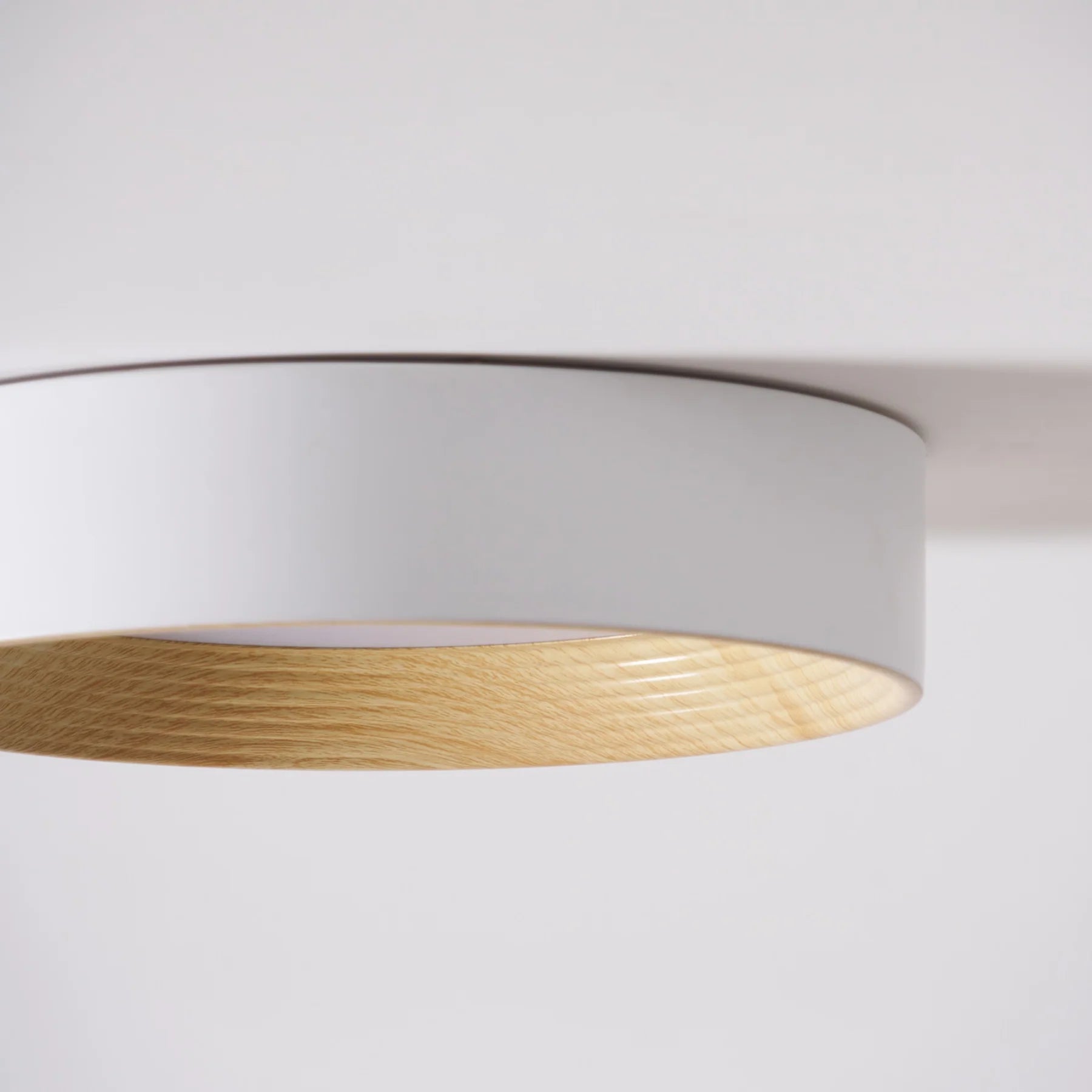 Oreen Ceiling Lamp - Auraolight