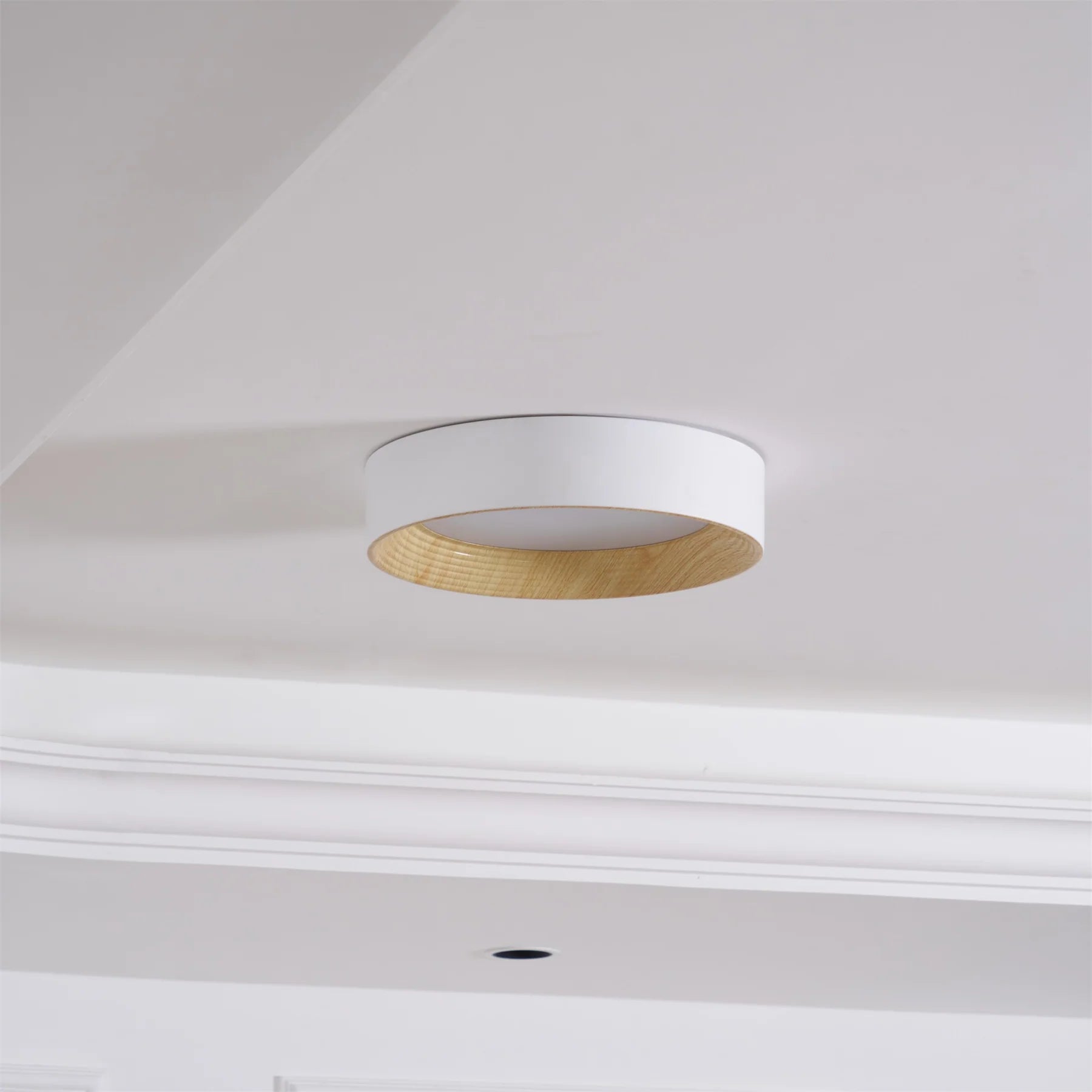 Oreen Ceiling Lamp - Auraolight