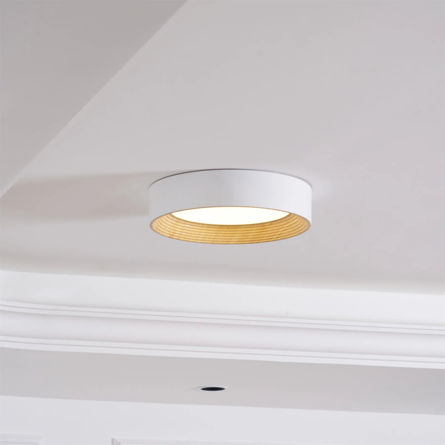Oreen Ceiling Lamp - Auraolight