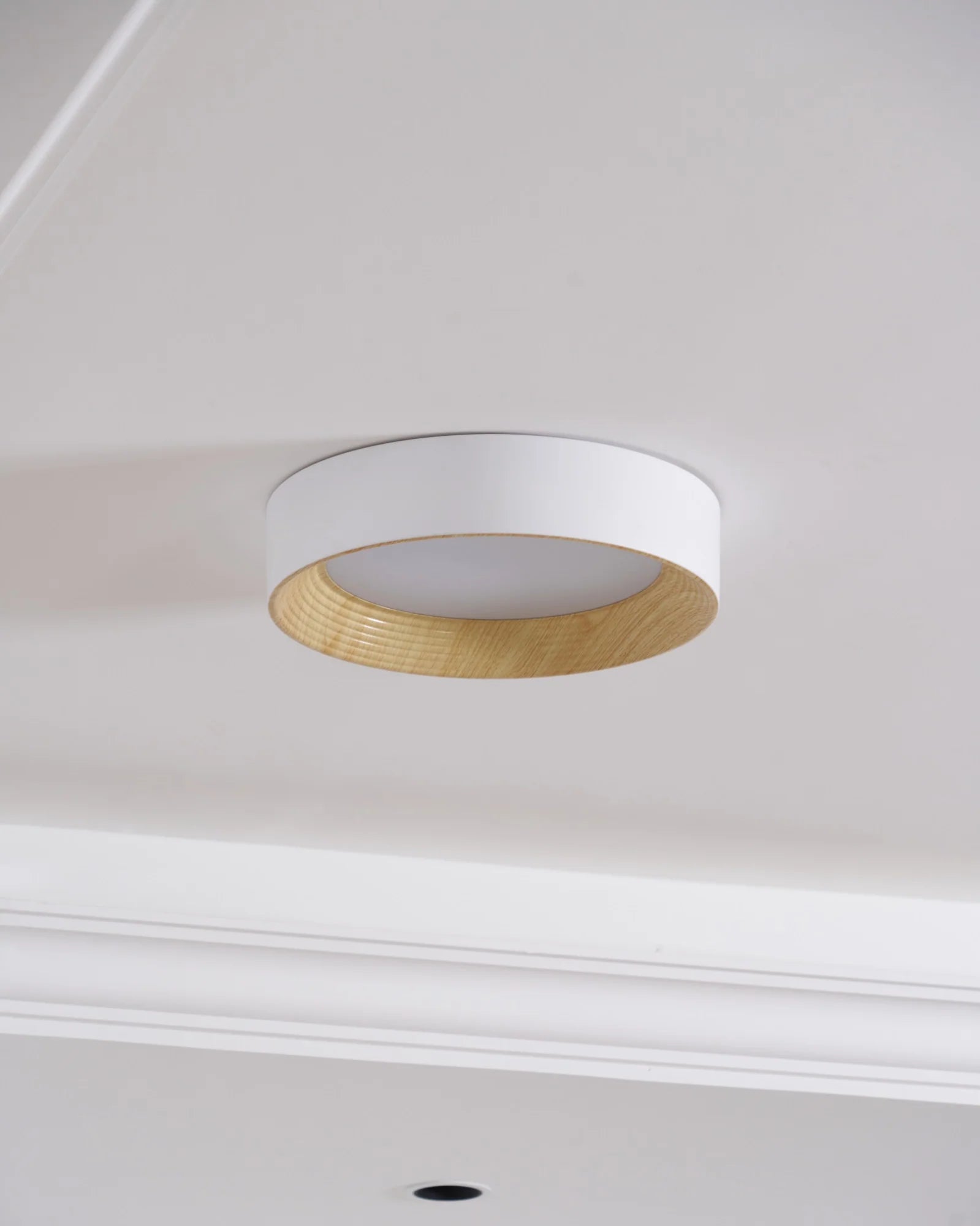 Oreen Ceiling Lamp - Auraolight