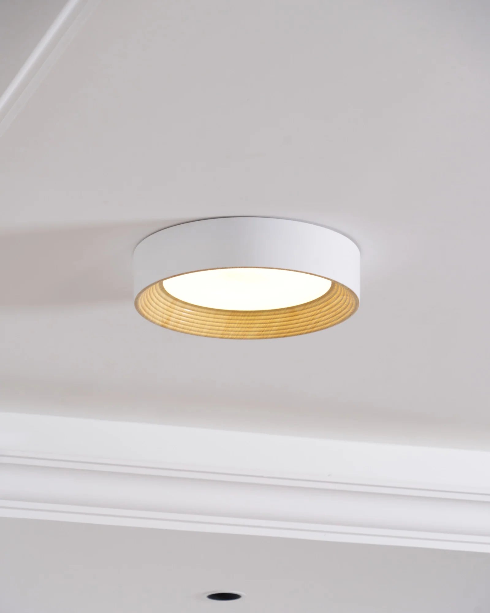 Oreen Ceiling Lamp - Auraolight