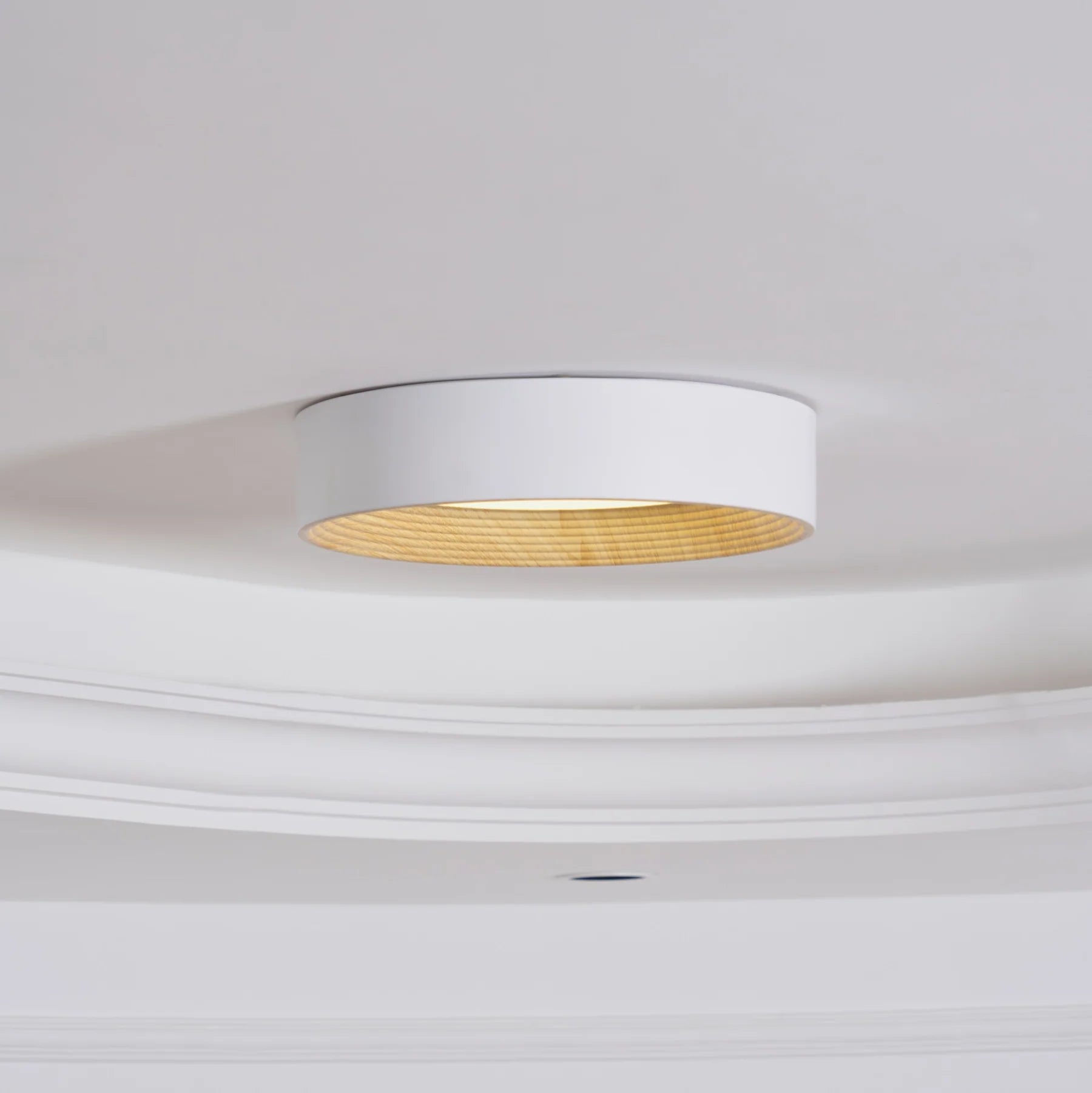 Oreen Ceiling Lamp - Auraolight