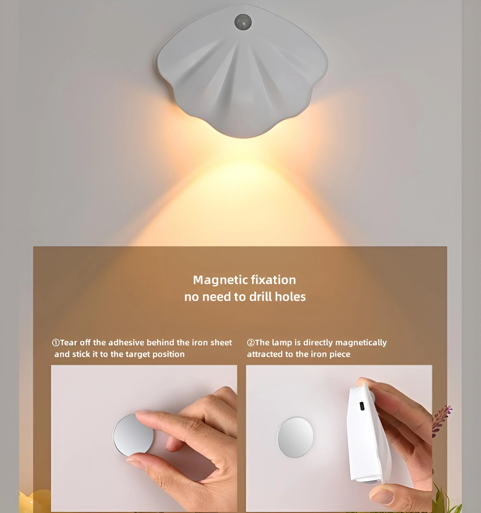 Motion Sensor Seashell Picture Light - Auraolight