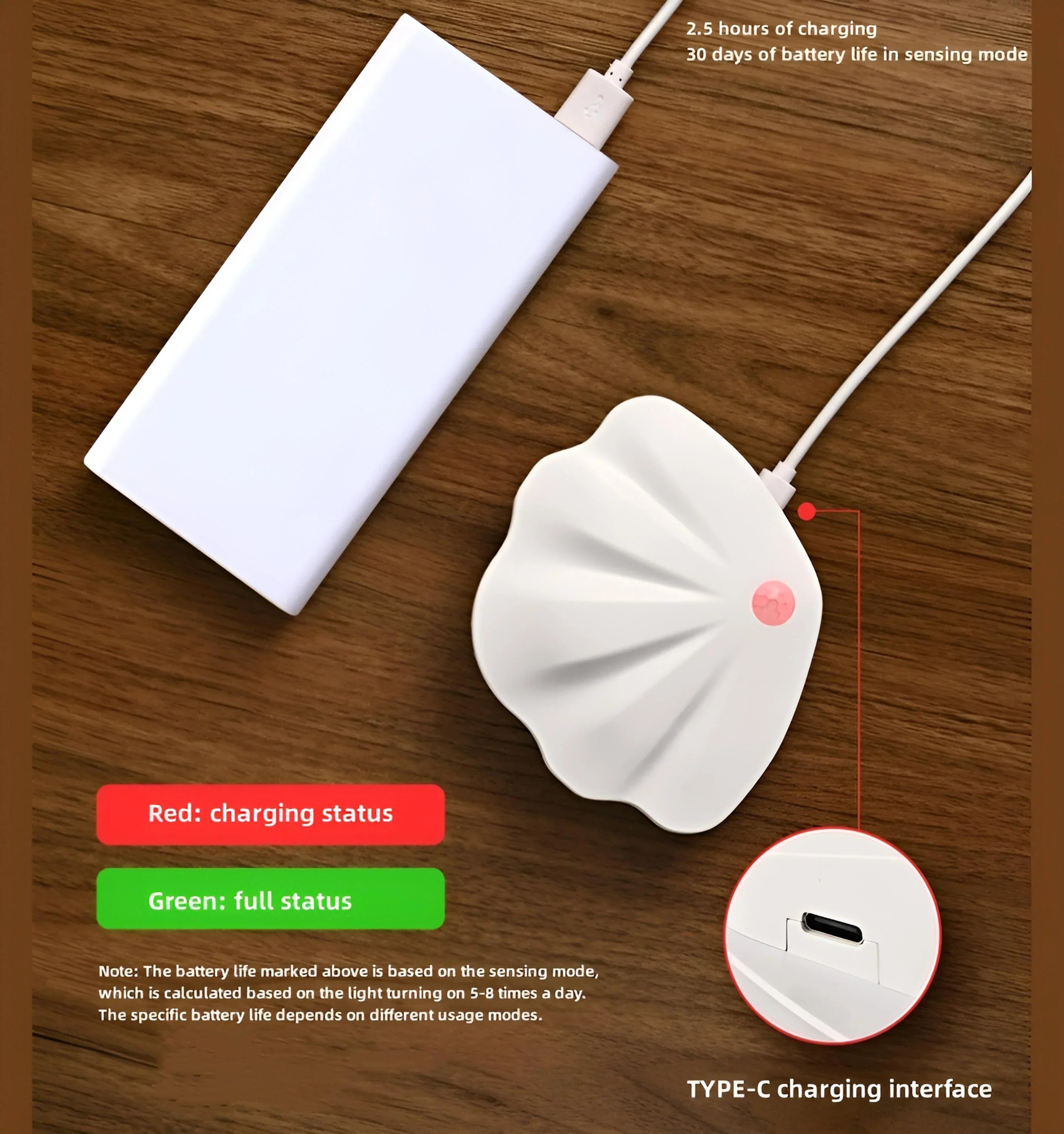 Motion Sensor Seashell Picture Light - Auraolight