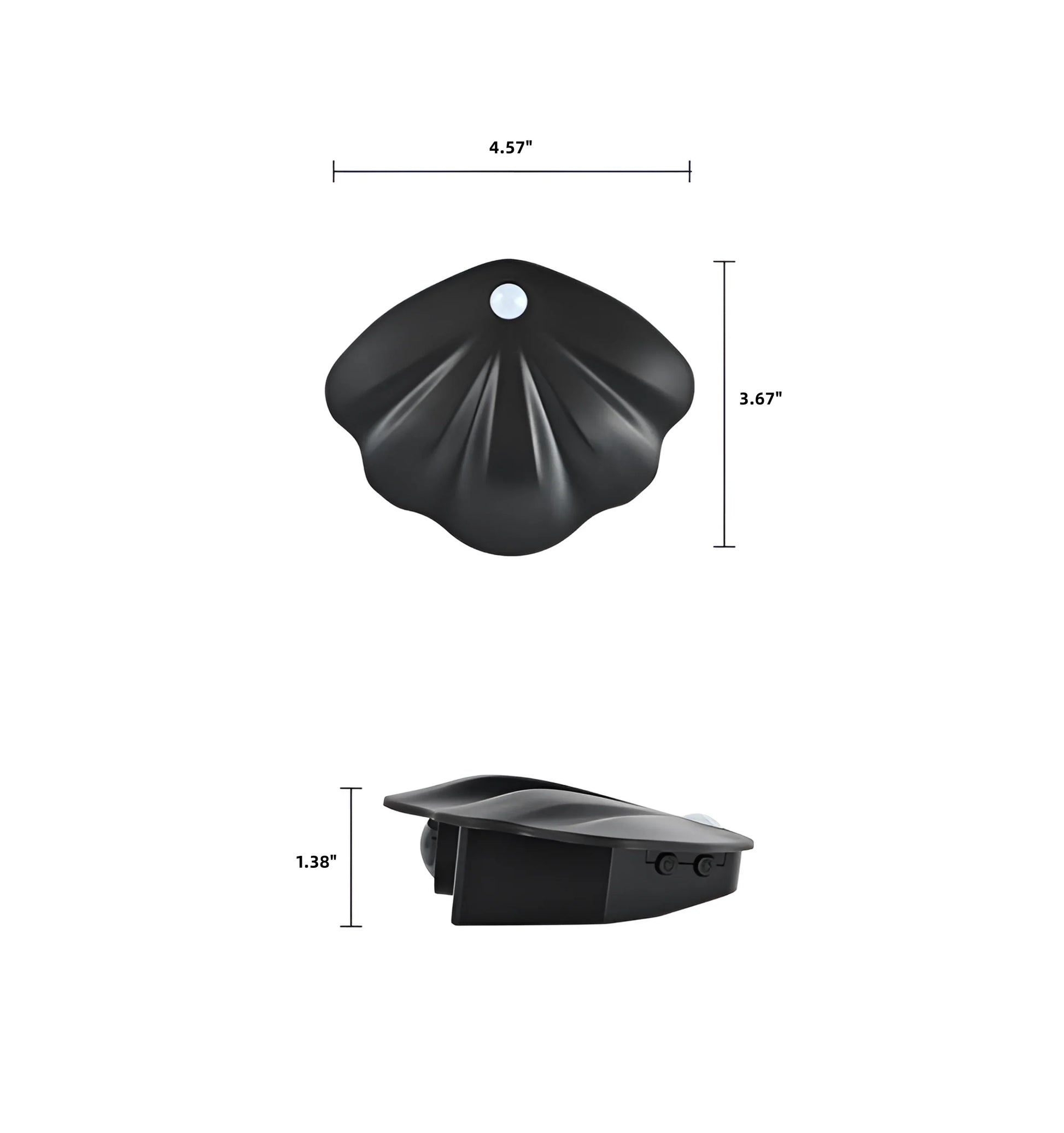 Motion Sensor Seashell Picture Light - Auraolight