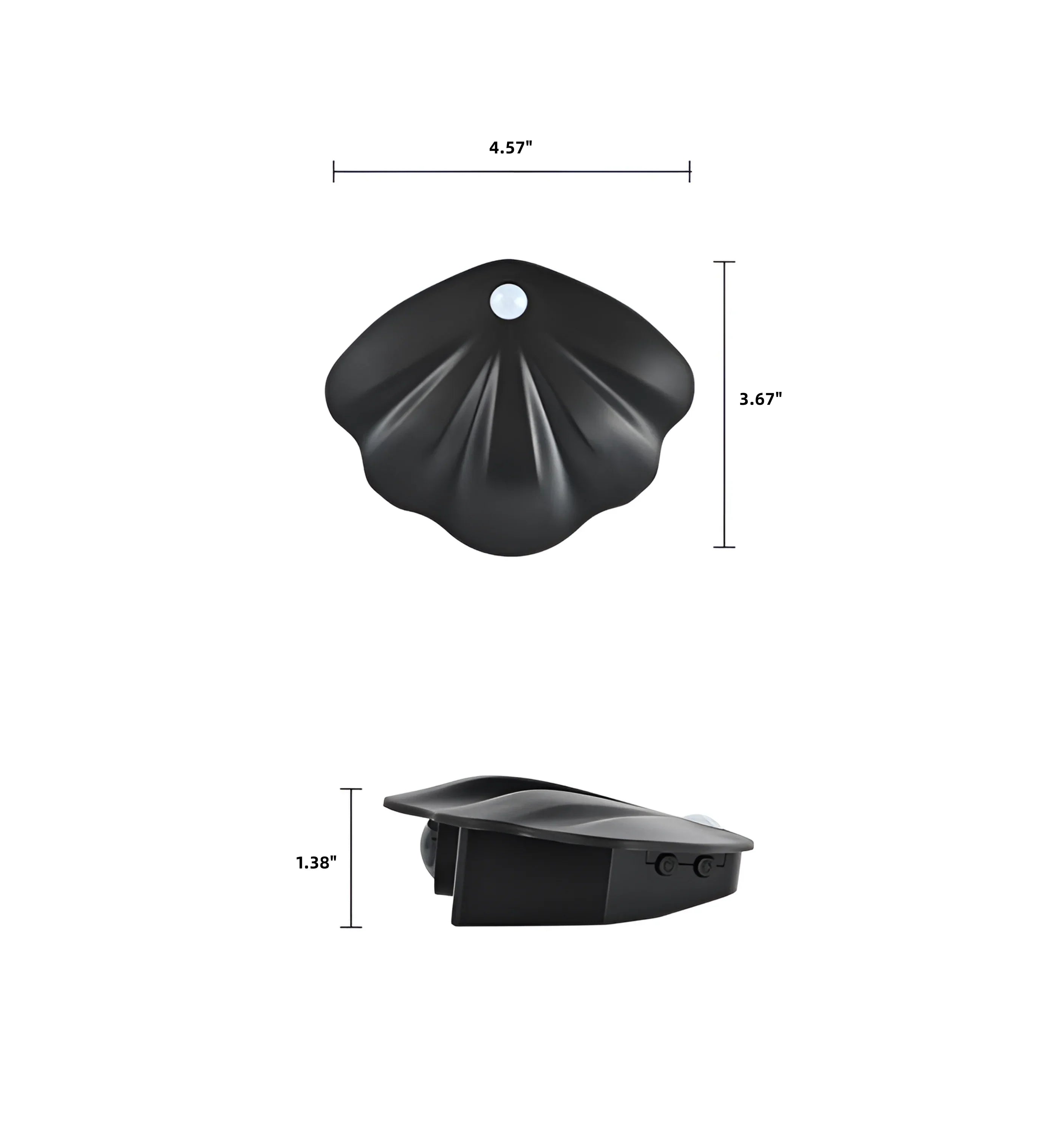 Motion Sensor Seashell Picture Light - Auraolight