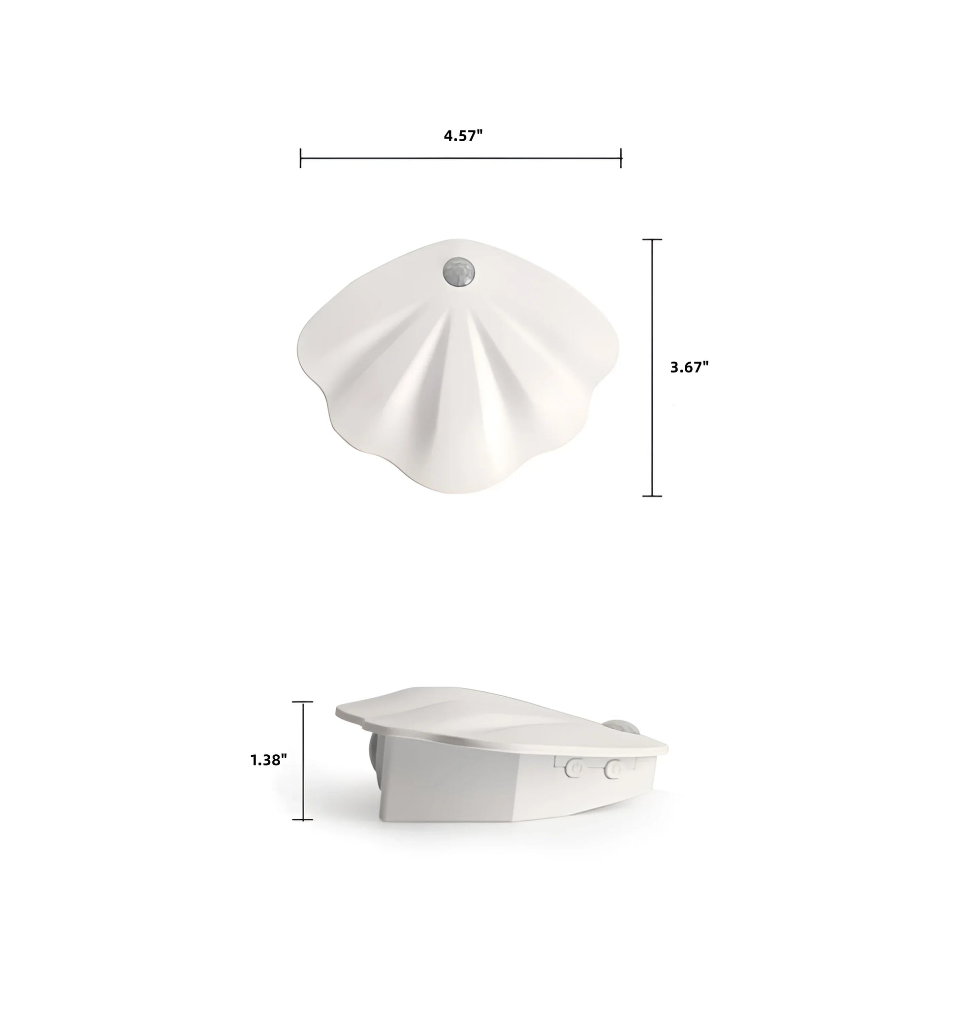 Motion Sensor Seashell Picture Light - Auraolight