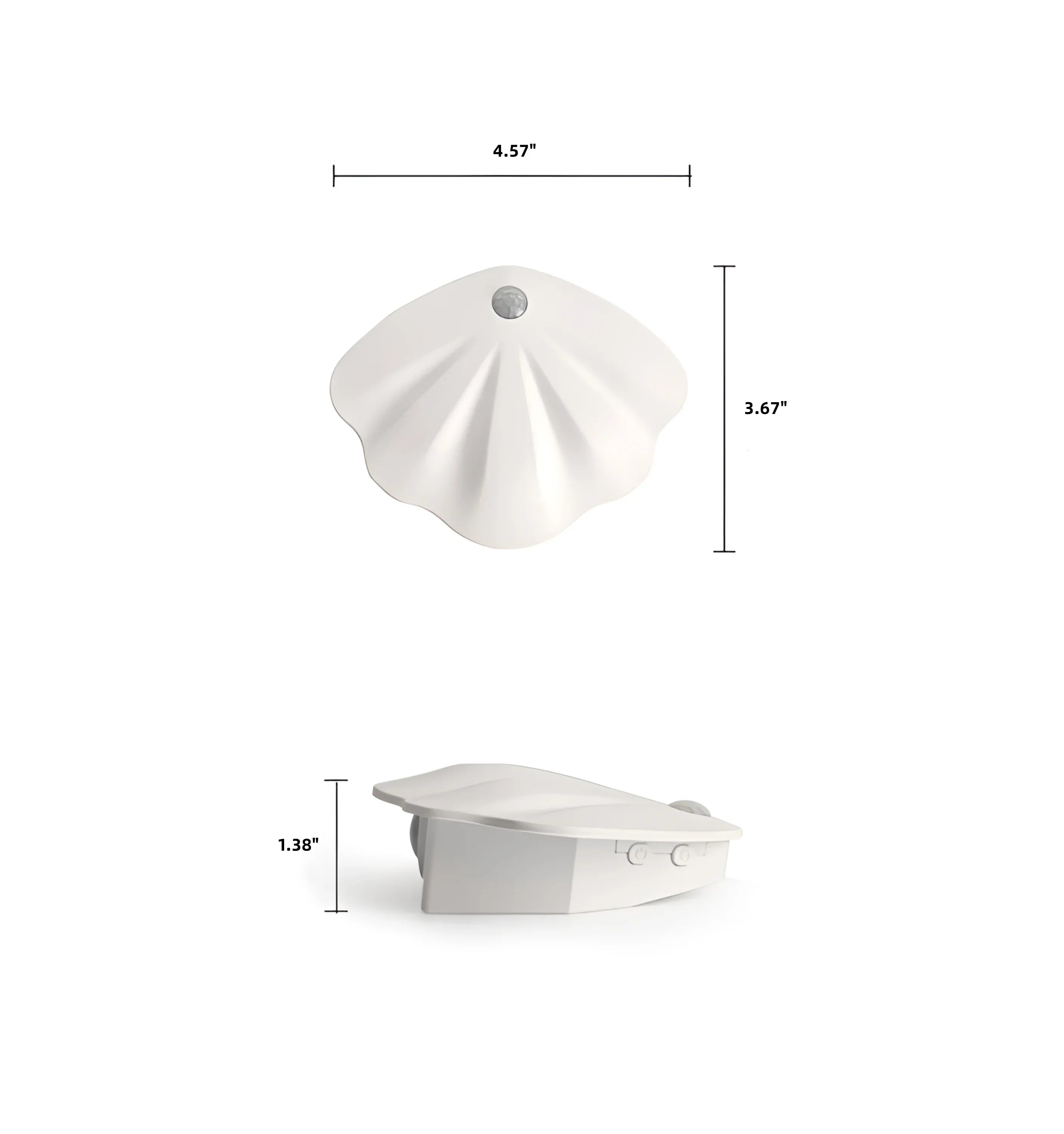Motion Sensor Seashell Picture Light - Auraolight