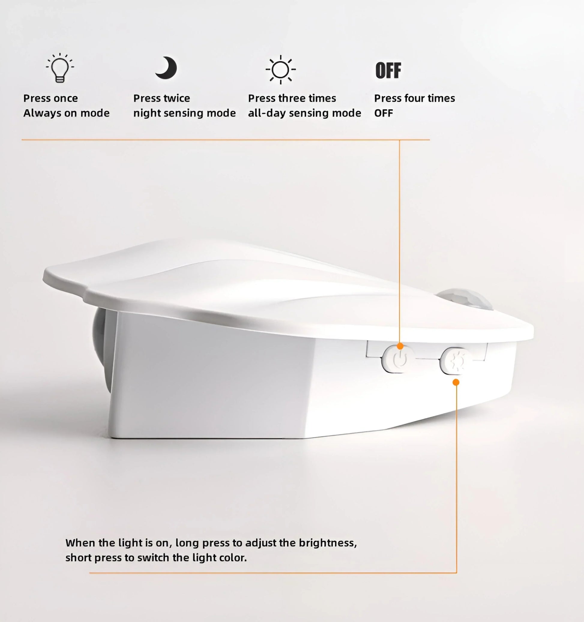 Motion Sensor Seashell Picture Light - Auraolight
