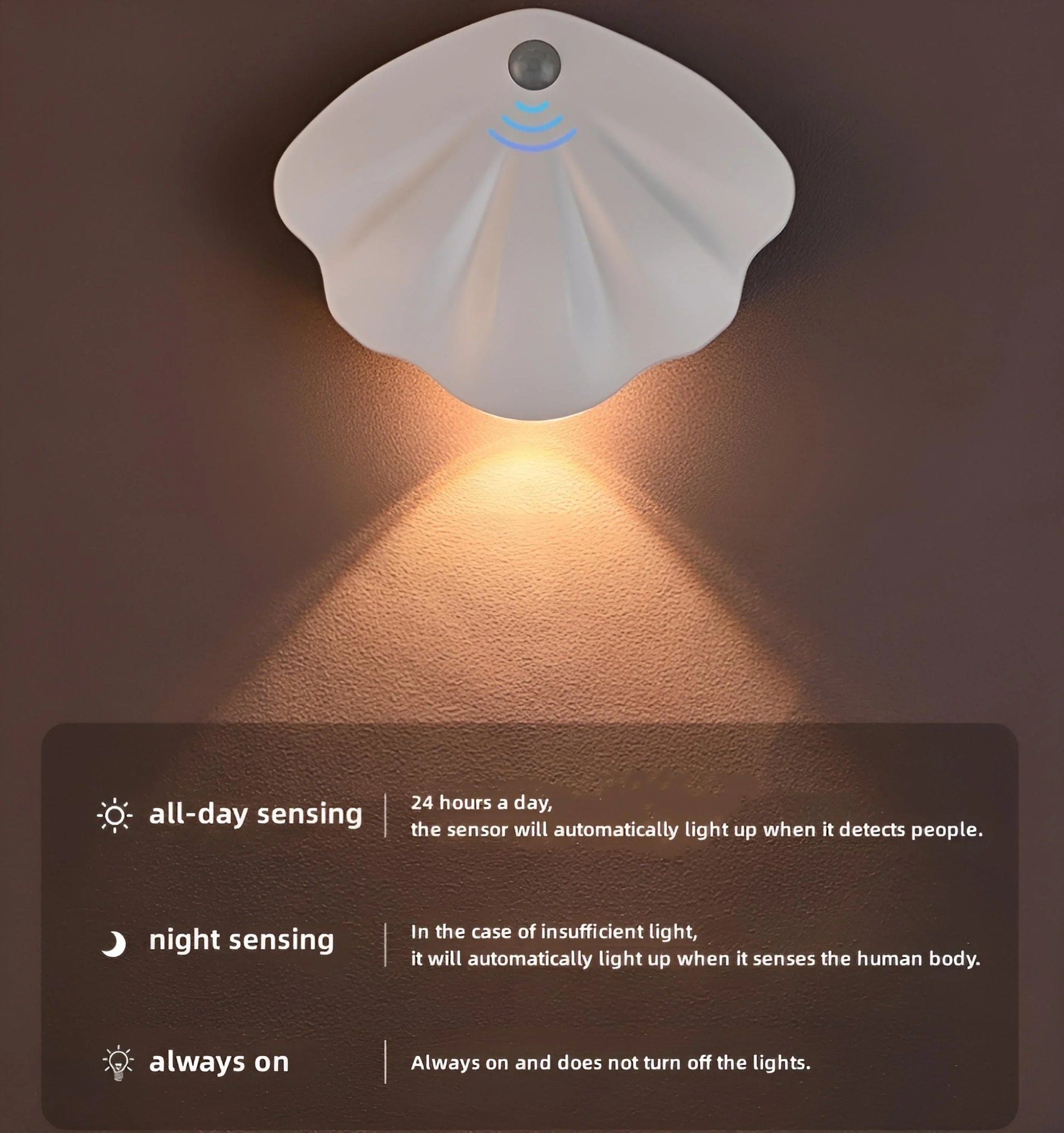 Motion Sensor Seashell Picture Light - Auraolight